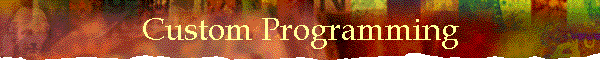 Custom Programming